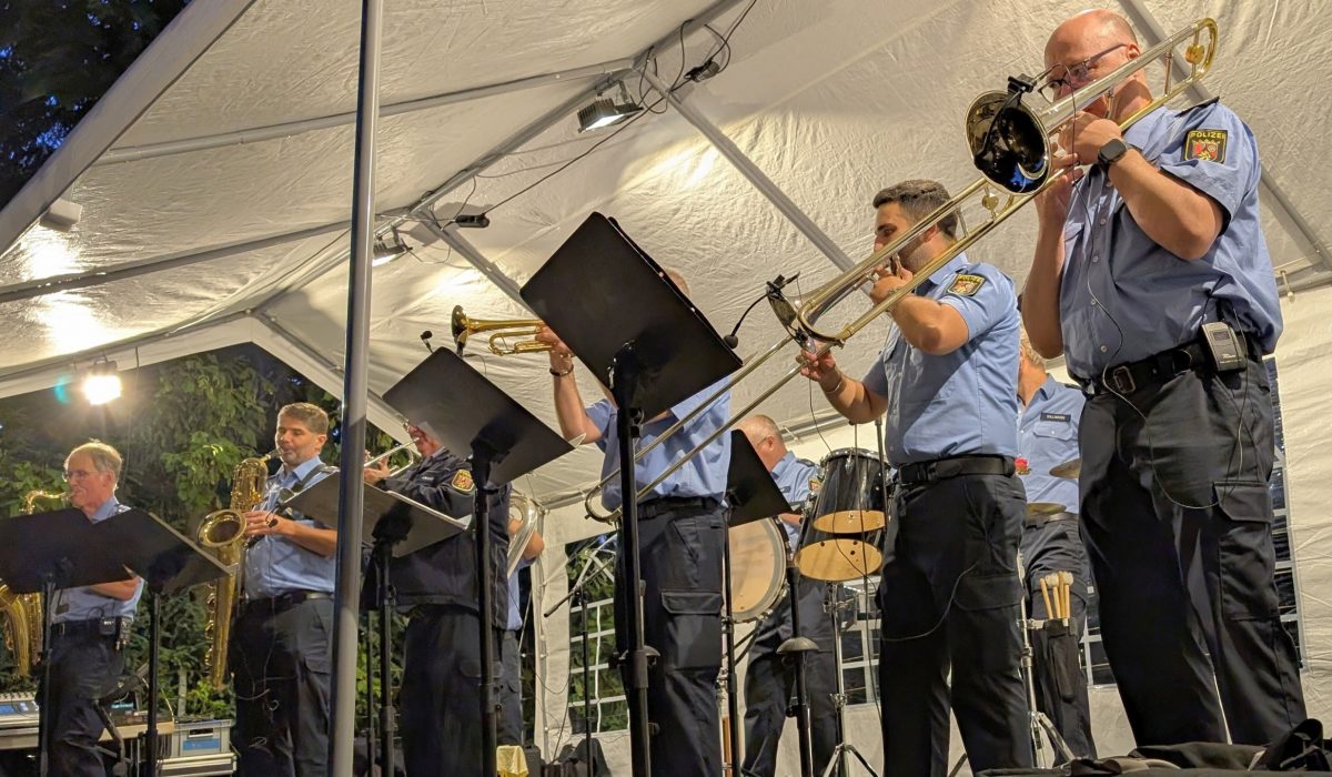 Men in Blue 293